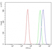 Flow cytometry testing of human A431 cells with CYP2C19 antibody at 1ug/million cells (blocked with goat sera); Red=cells alone, Green=isotype control, Blue= CYP2C19 antibody.