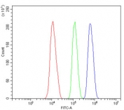Flow cytometry testing of mouse HEPA1-6 cells with Bub1 antibody at 1ug/million cells (blocked with goat sera); Red=cells alone, Green=isotype control, Blue= Bub1 antibody.
