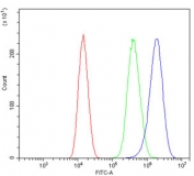 Flow cytometry testing of human PC-3 cells with CALCOCO2 antibody at 1ug/million cells (blocked with goat sera); Red=cells alone, Green=isotype control, Blue= CALCOCO2 antibody.