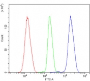 Flow cytometry testing of human K562 cells with HP1 alpha antibody at 1ug/million cells (blocked with goat sera); Red=cells alone, Green=isotype control, Blue= HP1 alpha antibody.