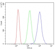 Flow cytometry testing of human 293T cells with CYP11B1/2 antibody at 1ug/million cells (blocked with goat sera); Red=cells alone, Green=isotype control, Blue= CYP11B1/2 antibody.