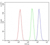 Flow cytometry testing of human SiHa cells with HIF2 alpha antibody at 1ug/million cells (blocked with goat sera); Red=cells alone, Green=isotype control, Blue= HIF2 alpha antibody.