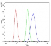 Flow cytometry testing of human Raji cells with GAP43 antibody at 1ug/million cells (blocked with goat sera); Red=cells alone, Green=isotype control, Blue= GAP43 antibody.