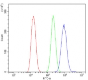 Flow cytometry testing of human U-2 OS cells with mGluR1 antibody at 1ug/million cells (blocked with goat sera); Red=cells alone, Green=isotype control, Blue= mGluR1 antibody.