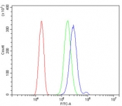 Flow cytometry testing of mouse Neuro-2a cells with mGluR1 antibody at 1ug/million cells (blocked with goat sera); Red=cells alone, Green=isotype control, Blue= mGluR1 antibody.