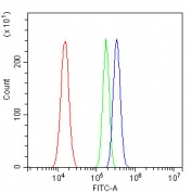 Flow cytometry testing of human U-87 MG cells with Gasdermin D antibody at 1ug/million cells (blocked with goat sera); Red=cells alone, Green=isotype control, Blue= Gasdermin D antibody.
