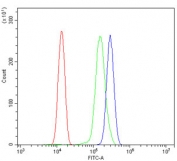 Flow cytometry testing of human ThP-1 cells with Gasdermin D antibody at 1ug/million cells (blocked with goat sera); Red=cells alone, Green=isotype control, Blue= Gasdermin D antibody.