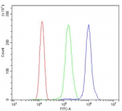 Flow cytometry testing of human ThP-1 cells with HDAC9 antibody at 1ug/million cells (blocked with goat sera); Red=cells alone, Green=isotype control, Blue= HDAC9 antibody.