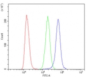 Flow cytometry testing of human K562 cells with IRF3 antibody at 1ug/million cells (blocked with goat sera); Red=cells alone, Green=isotype control, Blue= IRF3 antibody.