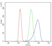 Flow cytometry testing of human Caco-2 cells with IRF3 antibody at 1ug/million cells (blocked with goat sera); Red=cells alone, Green=isotype control, Blue= IRF3 antibody.