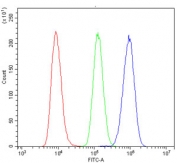 Flow cytometry testing of human Raji cells with ITGB4 antibody at 1ug/million cells (blocked with goat sera); Red=cells alone, Green=isotype control, Blue= ITGB4 antibody.