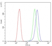 Flow cytometry testing of human A549 cells with ITGB5 antibody at 1ug/million cells (blocked with goat sera); Red=cells alone, Green=isotype control, Blue= ITGB5 antibody.