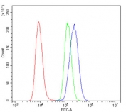 Flow cytometry testing of human Raji cells with ITGB5 antibody at 1ug/million cells (blocked with goat sera); Red=cells alone, Green=isotype control, Blue= ITGB5 antibody.