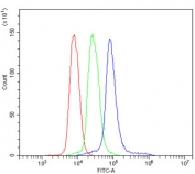 Flow cytometry testing of mouse spleen cells with Ly6c antibody at 1ug/million cells (blocked with goat sera); Red=cells alone, Green=isotype control, Blue= Ly6c antibody.