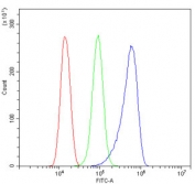 Flow cytometry testing of human ThP-1 cells with MLC1 antibody at 1ug/million cells (blocked with goat sera); Red=cells alone, Green=isotype control, Blue= CD59 antibody.