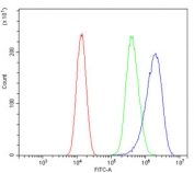 Flow cytometry testing of human PC-3 cells with Nectin 1 antibody at 1ug/million cells (blocked with goat sera); Red=cells alone, Green=isotype control, Blue= Nectin 1 antibody.