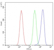 Flow cytometry testing of mouse Neuro-2a cells with P2ry14 antibody at 1ug/million cells (blocked with goat sera); Red=cells alone, Green=isotype control, Blue= P2ry14 antibody.