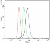 Flow cytometry testing of mouse spleen cells with P2ry14 antibody at 1ug/million cells (blocked with goat sera); Red=cells alone, Green=isotype control, Blue= P2ry14 antibody.