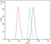 Flow cytometry testing of human 293T cells with PAX1 antibody at 1ug/million cells (blocked with goat sera); Red=cells alone, Green=isotype control, Blue= PAX1 antibody.