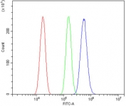 Flow cytometry testing of human U-87 MG cells with PAX3 antibody at 1ug/million cells (blocked with goat sera); Red=cells alone, Green=isotype control, Blue= PAX3 antibody.