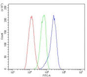 Flow cytometry testing of human HL-60 cells with PEPC antibody at 1ug/million cells (blocked with goat sera); Red=cells alone, Green=isotype control, Blue= PEPC antibody.