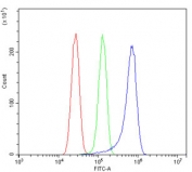 Flow cytometry testing of human U-87 MG cells with PDE6 beta antibody at 1ug/million cells (blocked with goat sera); Red=cells alone, Green=isotype control, Blue= PDE6 beta antibody.