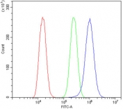 Flow cytometry testing of human A549 cells with PDE10A antibody at 1ug/million cells (blocked with goat sera); Red=cells alone, Green=isotype control, Blue= PDE10A antibody.