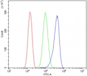 Flow cytometry testing of human ThP-1 cells with PNPT1 antibody at 1ug/million cells (blocked with goat sera); Red=cells alone, Green=isotype control, Blue= PNPT1 antibody.