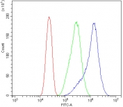 Flow cytometry testing of human Caco-2 cells with Prominin 1 antibody at 1ug/million cells (blocked with goat sera); Red=cells alone, Green=isotype control, Blue= Prominin 1 antibody.
