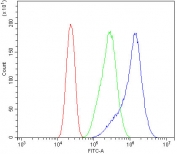 Flow cytometry testing of human Caco-2 cells with Prominin 1 antibody at 1ug/million cells (blocked with goat sera); Red=cells alone, Green=isotype control, Blue= Prominin 1 antibody.