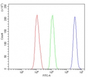 Flow cytometry testing of mouse HEPA1-6 cells with Rad9a antibody at 1ug/million cells (blocked with goat sera); Red=cells alone, Green=isotype control, Blue= Rad9a antibody.