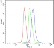 Flow cytometry testing of mouse spleen cells with Rad17 antibody at 1ug/million cells (blocked with goat sera); Red=cells alone, Green=isotype control, Blue= Rad17 antibody.