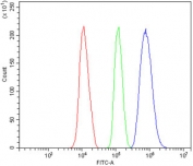 Flow cytometry testing of mouse HEPA1-6 cells with Rad17 antibody at 1ug/million cells (blocked with goat sera); Red=cells alone, Green=isotype control, Blue= Rad17 antibody.