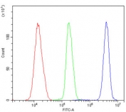 Flow cytometry testing of human K562 cells with RCC1 antibody at 1ug/million cells (blocked with goat sera); Red=cells alone, Green=isotype control, Blue= RCC1 antibody.