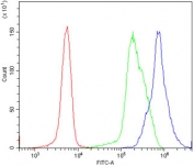 Flow cytometry testing of human U937 cells with RPA32 antibody at 1ug/million cells (blocked with goat sera); Red=cells alone, Green=isotype control, Blue= RPA32 antibody.