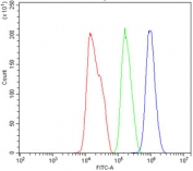 Flow cytometry testing of human HepG2 cells with Semaphorin 6A antibody at 1ug/million cells (blocked with goat sera); Red=cells alone, Green=isotype control, Blue= SEMA6A antibody.