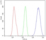 Flow cytometry testing of human HeLa cells with SGK1 antibody at 1ug/million cells (blocked with goat sera); Red=cells alone, Green=isotype control, Blue= SGK1 antibody.