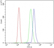 Flow cytometry testing of human ThP-1 cells with STAT6 antibody at 1ug/million cells (blocked with goat sera); Red=cells alone, Green=isotype control, Blue= STAT6 antibody.