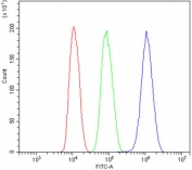 Flow cytometry testing of human HepG2 cells with WAC antibody at 1ug/million cells (blocked with goat sera); Red=cells alone, Green=isotype control, Blue= WAC antibody.