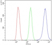 Flow cytometry testing of human A549 cells with TRIM28 antibody at 1ug/million cells (blocked with goat sera); Red=cells alone, Green=isotype control, Blue= TRIM28 antibody.