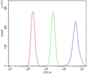 Flow cytometry testing of human A431 cells with DDX5 antibody at 1ug/million cells (blocked with goat sera); Red=cells alone, Green=isotype control, Blue= DDX5 antibody.