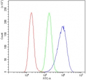 Flow cytometry testing of human A549 cells with RNH1 antibody at 1ug/million cells (blocked with goat sera); Red=cells alone, Green=isotype control, Blue= RNH1 antibody.