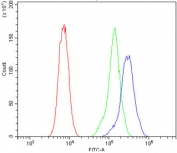 Flow cytometry testing of human Caco-2 cells with Retinoid X Receptor alpha antibody at 1ug/million cells (blocked with goat sera); Red=cells alone, Green=isotype control, Blue= Retinoid X Receptor alpha antibody.