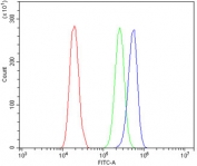 Flow cytometry testing of human A431 cells with BRM antibody at 1ug/million cells (blocked with goat sera); Red=cells alone, Green=isotype control, Blue= BRM antibody.