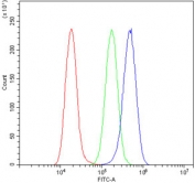 Flow cytometry testing of human A549 cells with Bid antibody at 1ug/million cells (blocked with goat sera); Red=cells alone, Green=isotype control, Blue= Bid antibody.