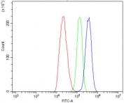 Flow cytometry testing of rat C6 cells with ATG7 antibody at 1ug/million cells (blocked with goat sera); Red=cells alone, Green=isotype control, Blue= ATG7 antibody.