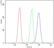 Flow cytometry testing of human A431 cells with Calbindin 2 antibody at 1ug/million cells (blocked with goat sera); Red=cells alone, Green=isotype control, Blue= Calbindin 2 antibody.