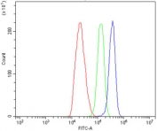 Flow cytometry testing of human C6 cells with Calbindin 2 antibody at 1ug/million cells (blocked with goat sera); Red=cells alone, Green=isotype control, Blue= Calbindin 2 antibody.