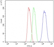 Flow cytometry testing of human HepG2 cells with CDR2 antibody at 1ug/million cells (blocked with goat sera); Red=cells alone, Green=isotype control, Blue= CDR2 antibody.