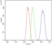 Flow cytometry testing of human HepG2 cells with CDR2 antibody at 1ug/million cells (blocked with goat sera); Red=cells alone, Green=isotype control, Blue= CDR2 antibody.